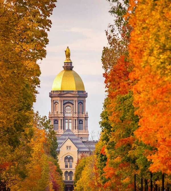 Nd Fall Dome Small